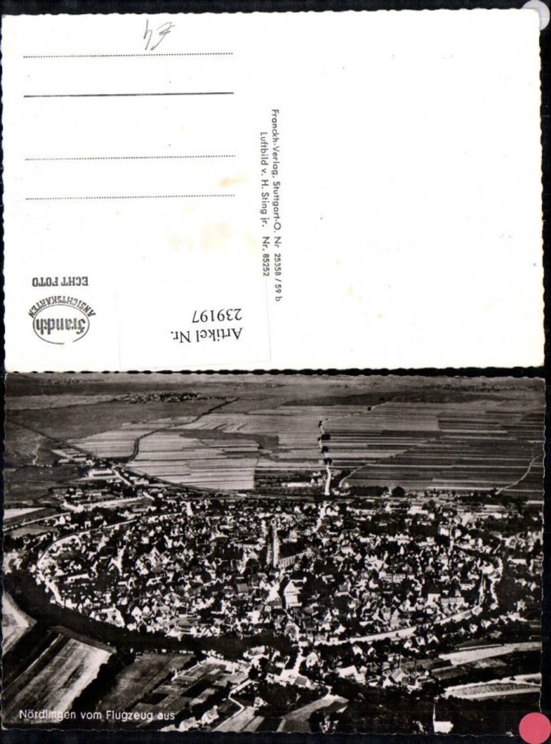 239197,Nördlingen Totale v. Flugzeug aus