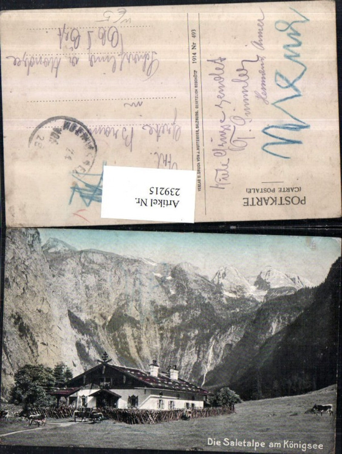 239215,Die Saletalpe am Königssee b. Schönau Bergkulisse