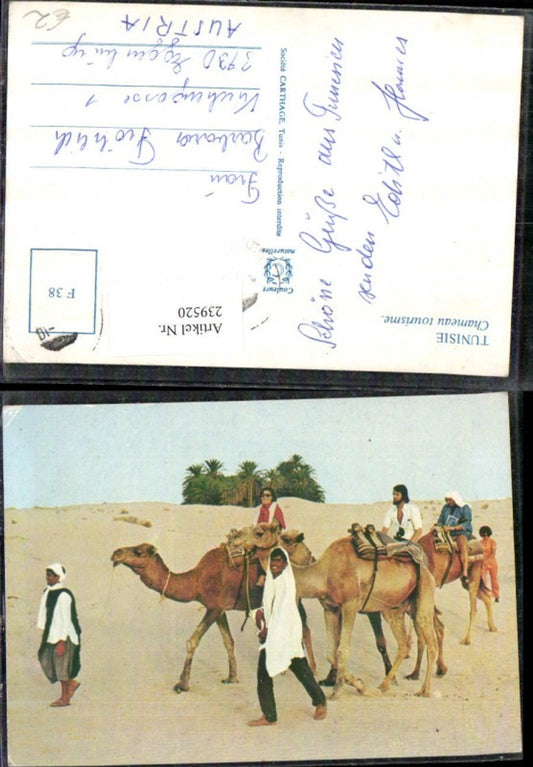 239520,Tunisie Tunesien Chameau tourisme Kamele Wüste