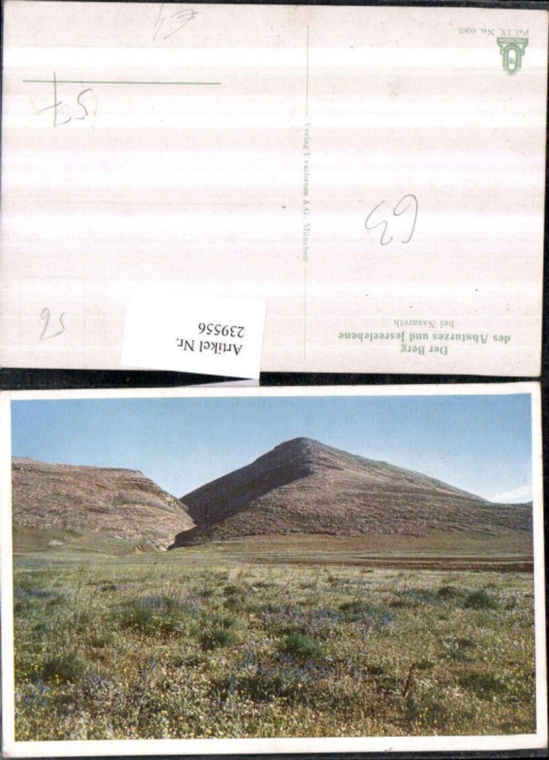 239556,Nazareth Der Berg d. Absturzes u. Jesreelebene