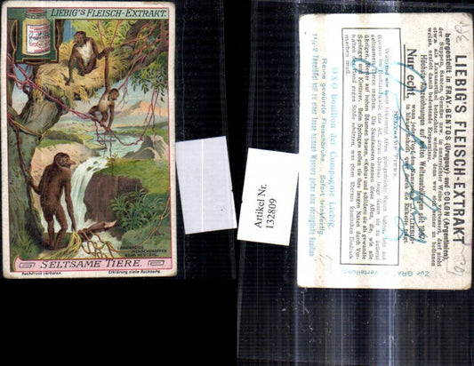 132809,Reklame Liebig Fleisch Extrakt Oxo Bouillon der Compagnie Liebig Fleischbrühe