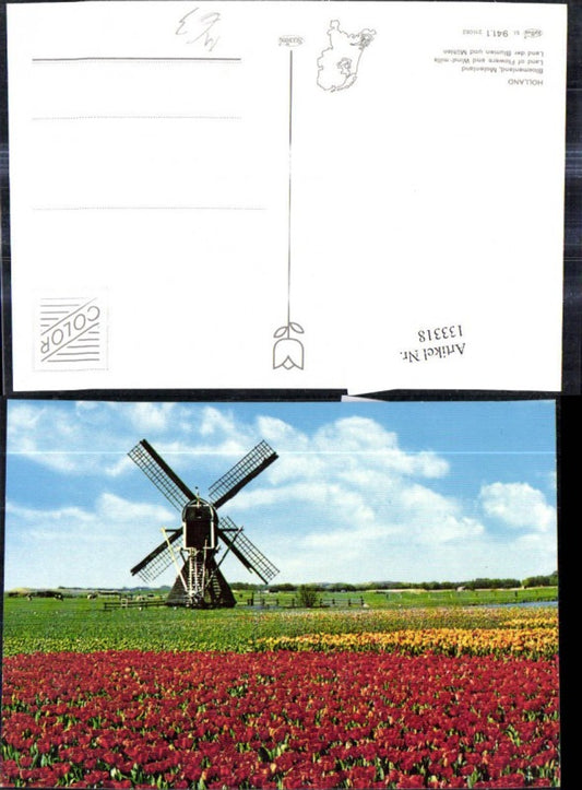 133318,Windmühle Holland Windmill Blumen Tulpen