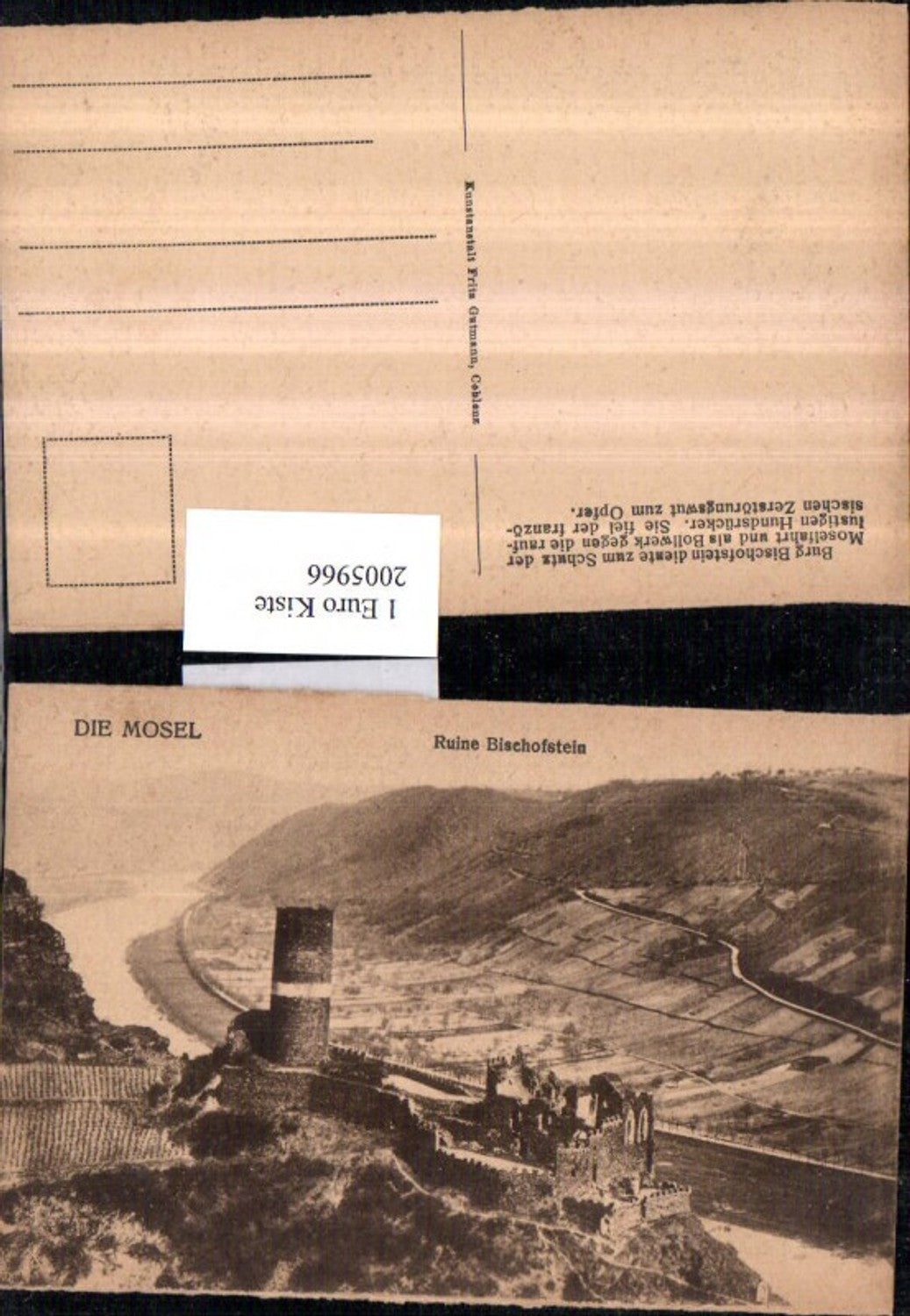 2005966,Die Mosel Ruine Bischofstein