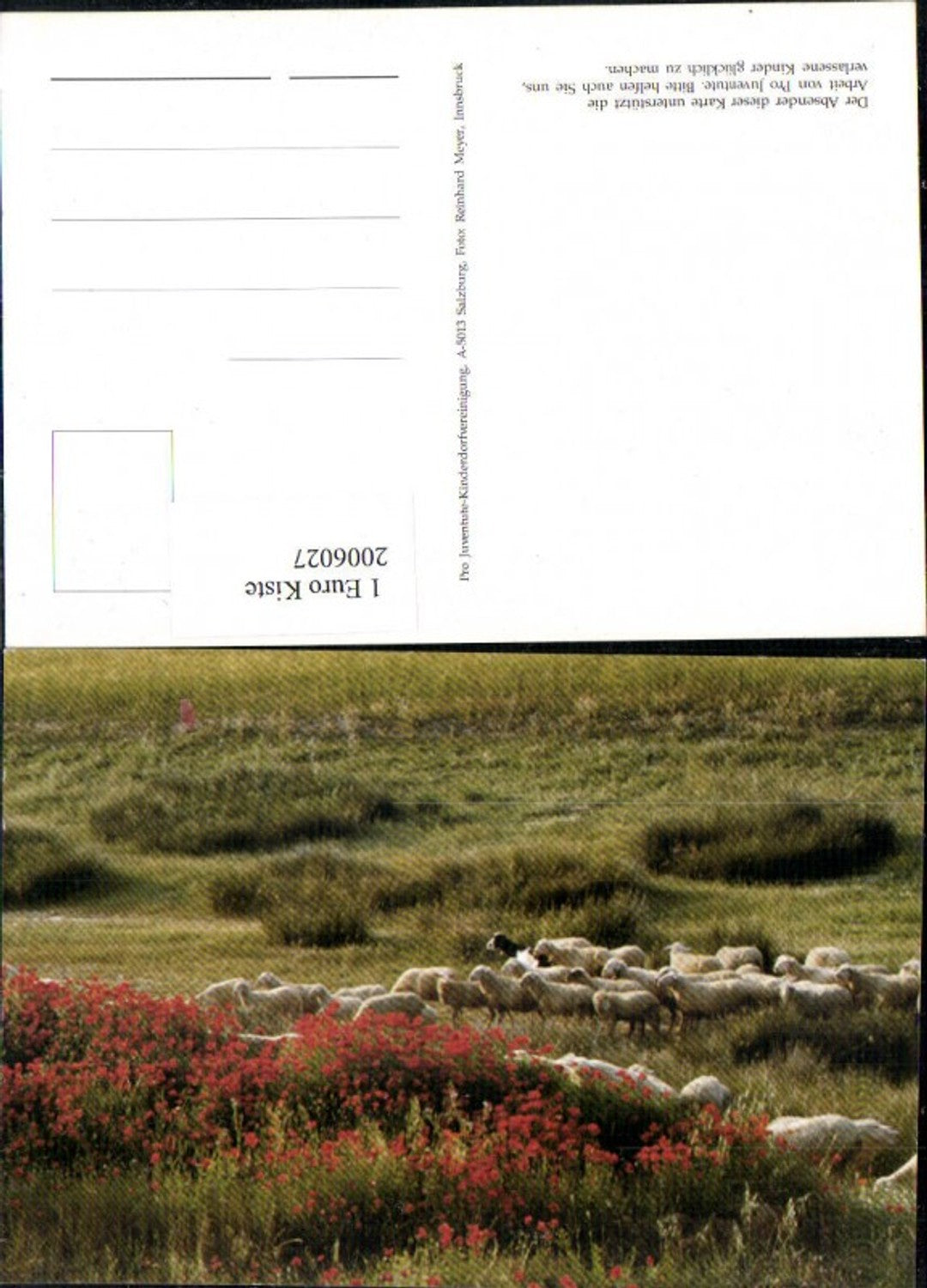 2006027,Landschaft Wiese Schafe