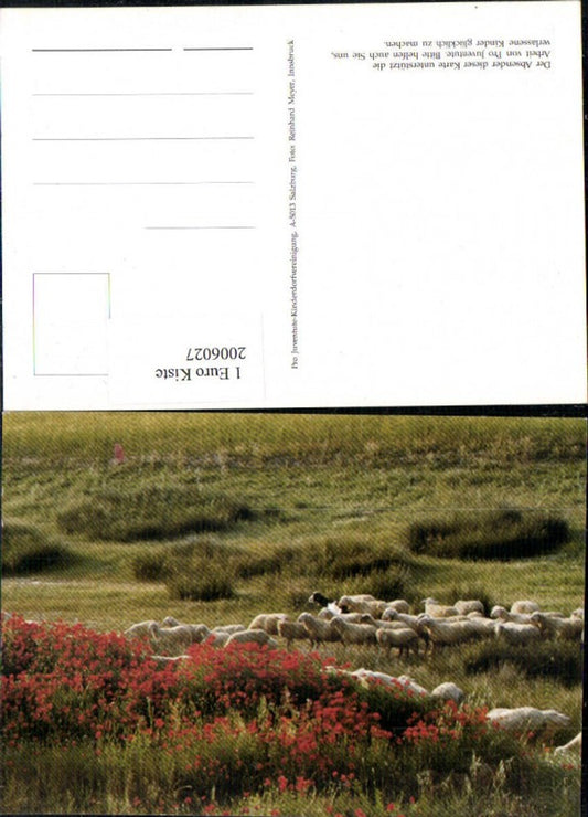 2006027,Landschaft Wiese Schafe