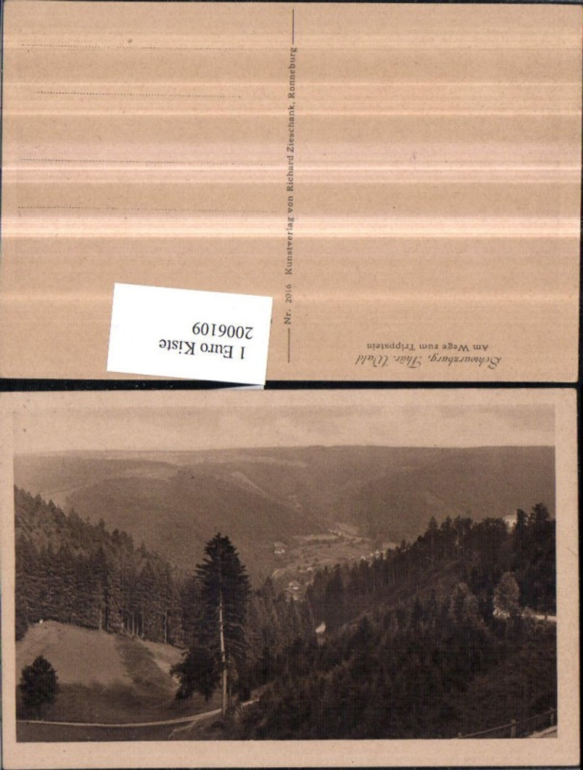 2006109,Schwarzburg im Thüringer Wald am Wege zum Trippstein