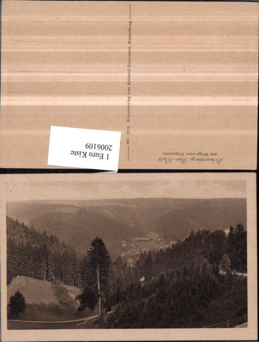 2006109,Schwarzburg im Thüringer Wald am Wege zum Trippstein