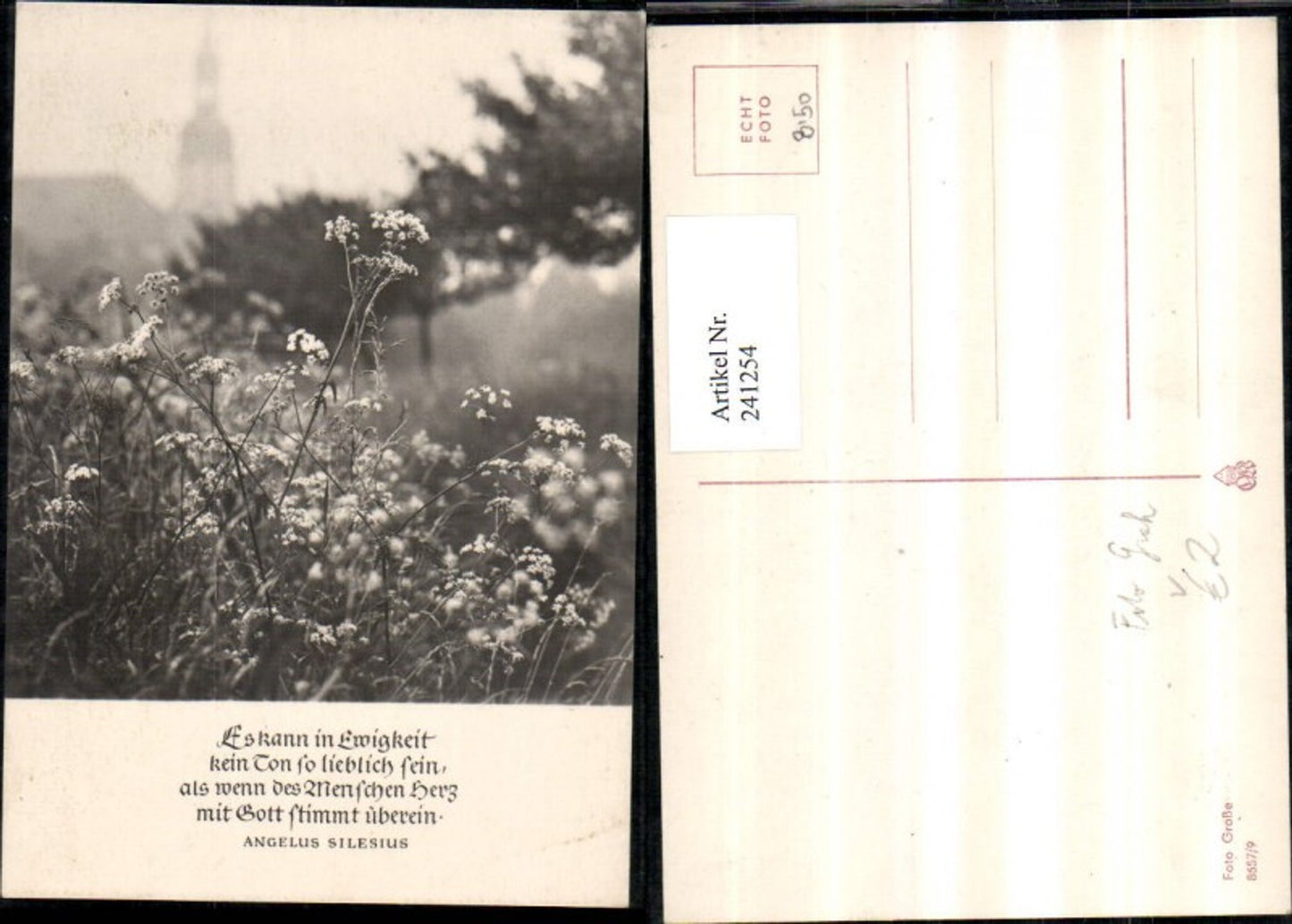 241254,Wiese Blumen Spruch von Angelus Silesius pub Foto Groh 8657/9