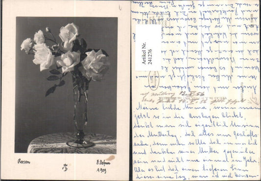 241276,Dr. Defner A 909 Rosen Vase
