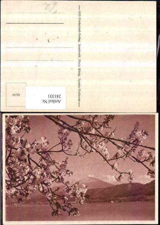 241331, SOS Children's Village 53/15 Flowering tree branches Lake