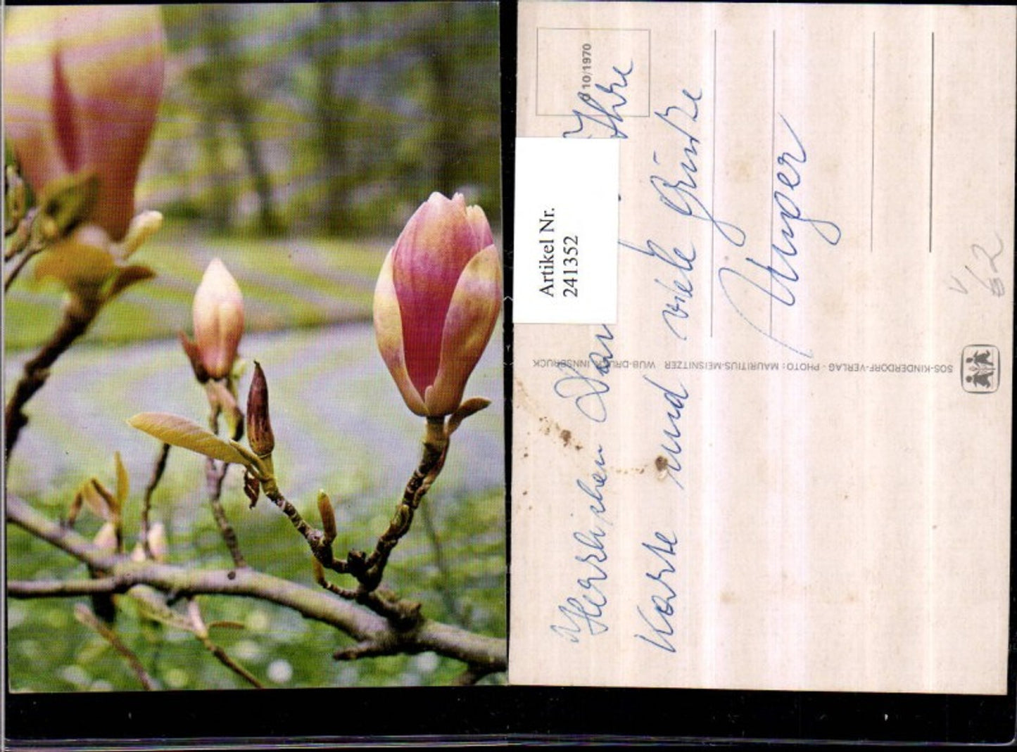 241352,SOS Kinderdorf O 10/1970 Blütenzweig Blüte