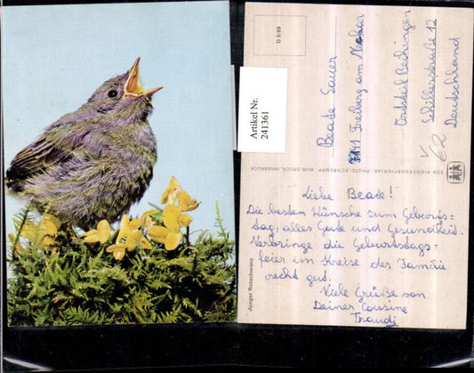 241361, SOS Children's Village O 5/69 Young Redstart Bird
