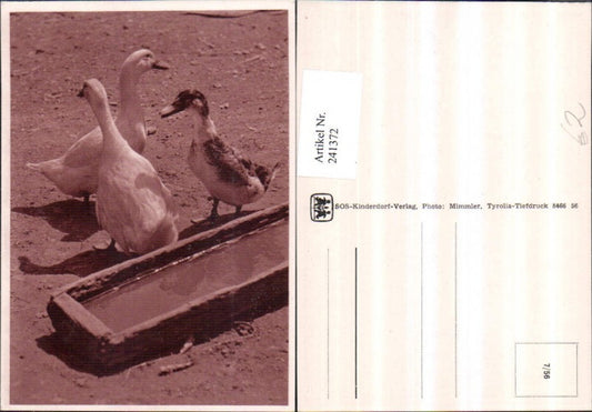 241372, SOS Children's Village 7/56 Geese Goose Drinking Station