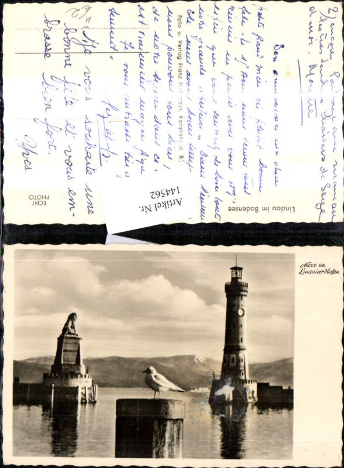 144562,Foto Ak Leuchtturm Lindau a. Bodensee Möve i. Lindauer Hafen Löwendenkmal