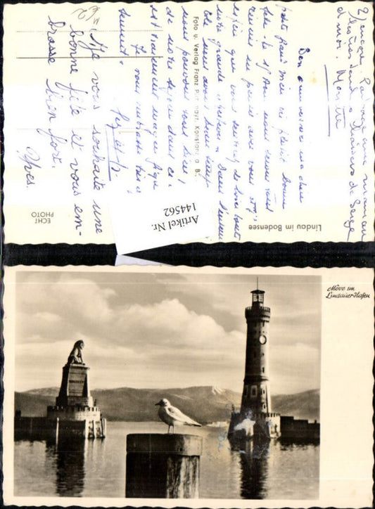144562,Foto Ak Leuchtturm Lindau a. Bodensee Möve i. Lindauer Hafen Löwendenkmal