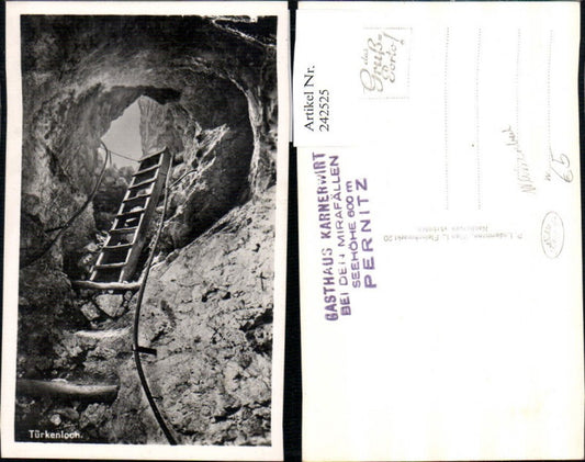 242525,Türkenloch Leiter Partie b. Weißenbach an d. Triesting