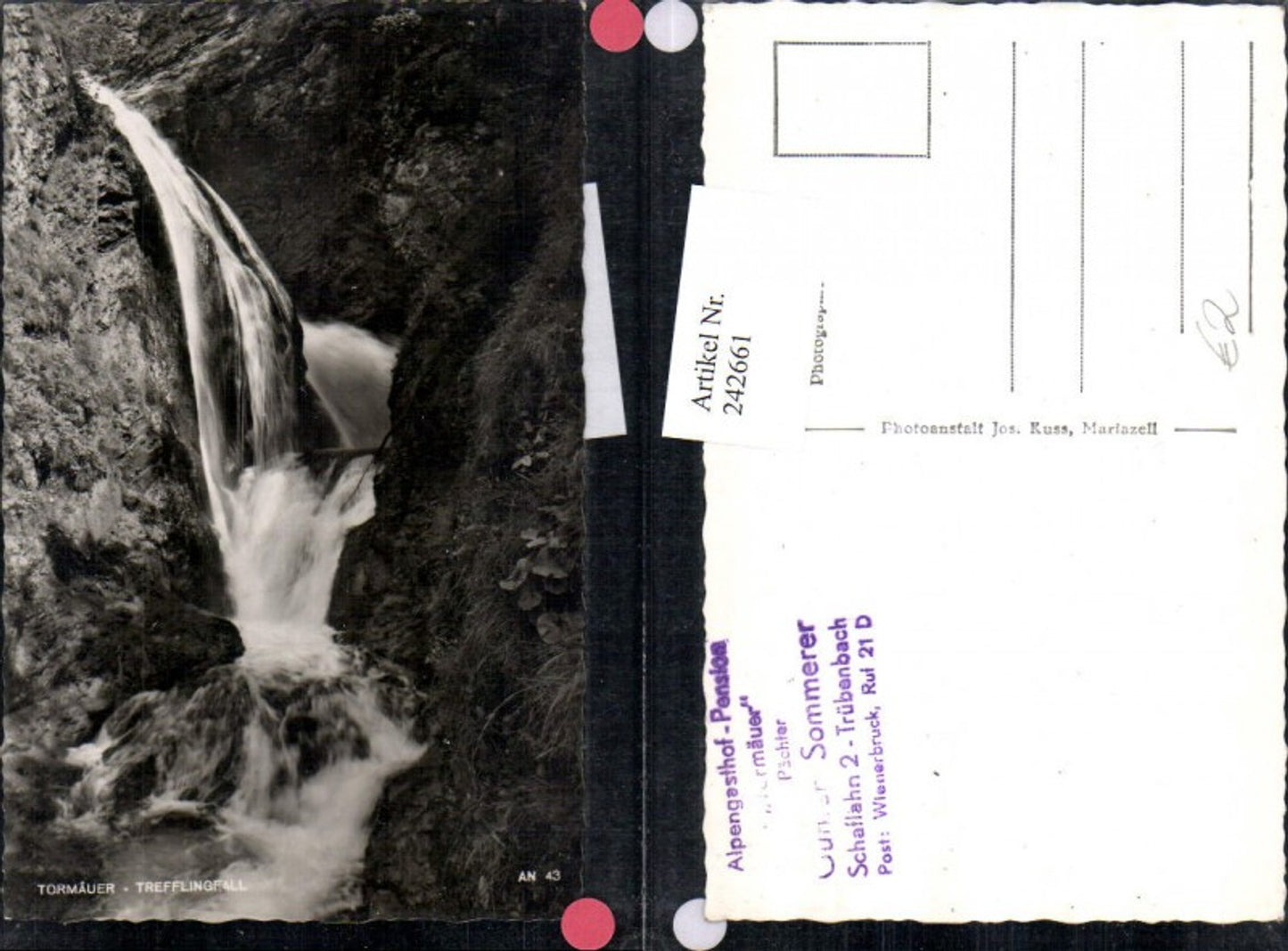 242661,Tormäuer Trefflingfall Wasserfall b. Gaming