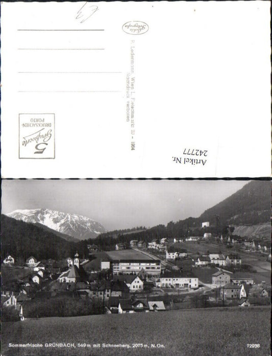 242777,Grünbach Totale m. Schneeberg