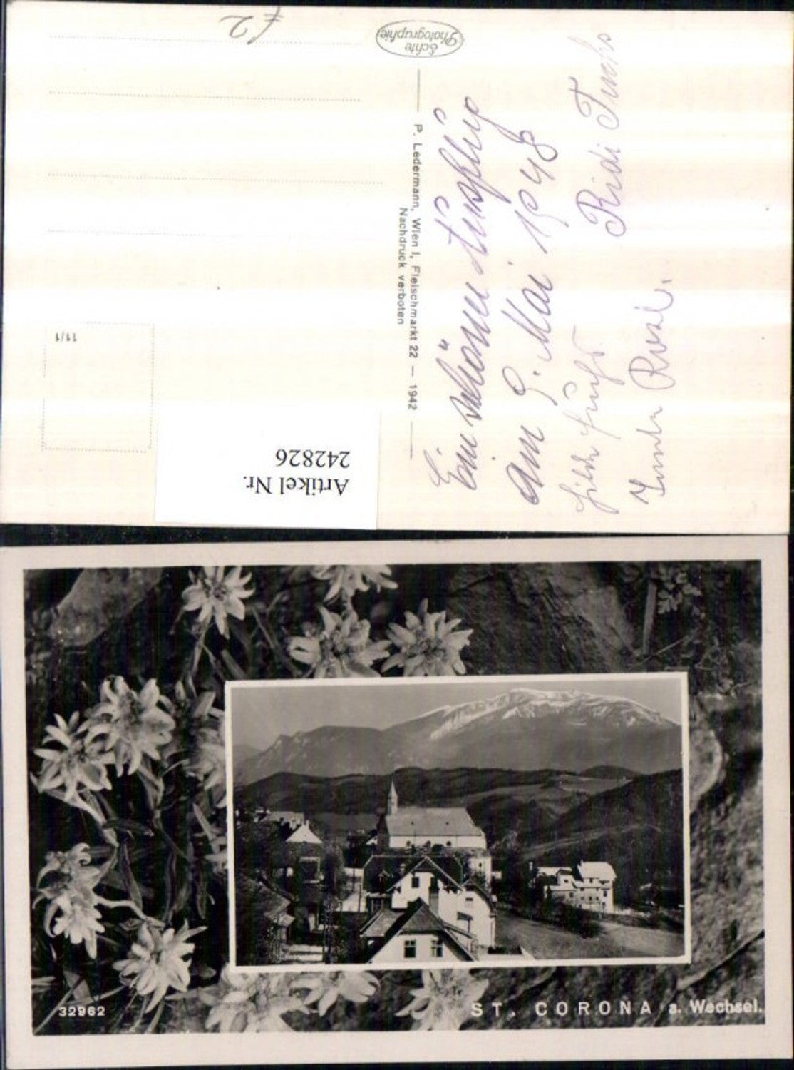 242826,St. Corona am Wechsel Totale Edelweiß Blumen