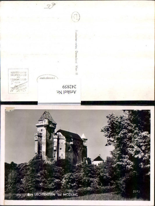 242859,Burg Liechtenstein b. Mödling