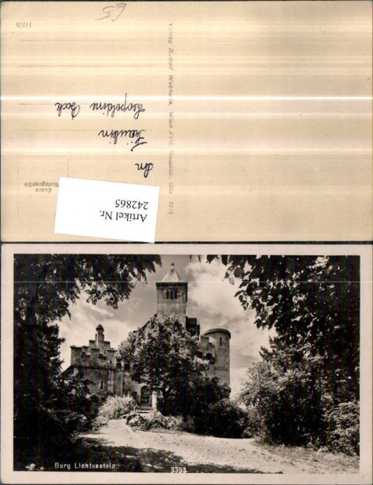 242865,Burg Liechtenstein b. Mödling