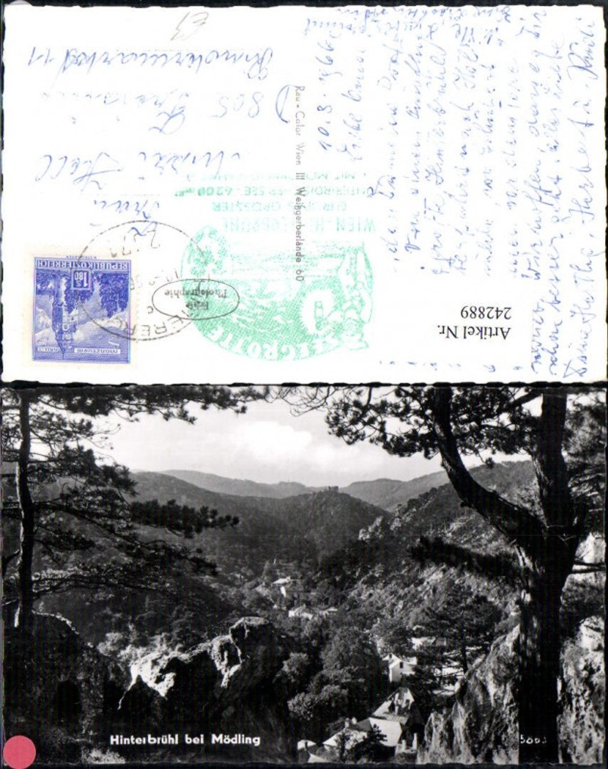 242889,Hinterbrühl b. Mödling Teilansicht