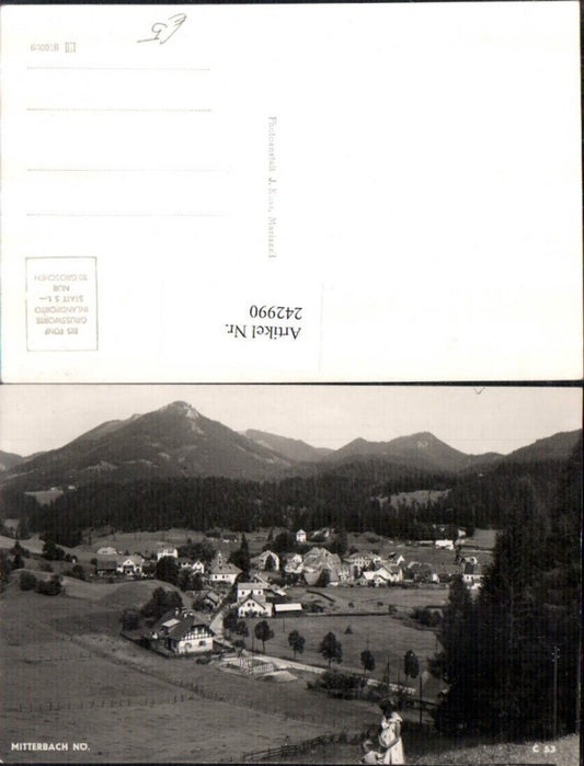 242990,Mitterbach a. Erlaufsee Totale