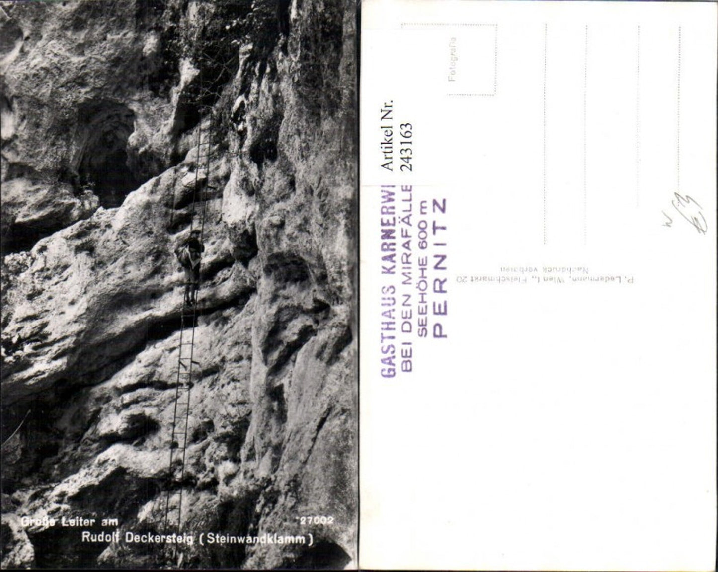 243163,Steinwandklamm Große Leiter am Rudolf Deckersteig Partie b. Weißenbach an d. Triesting