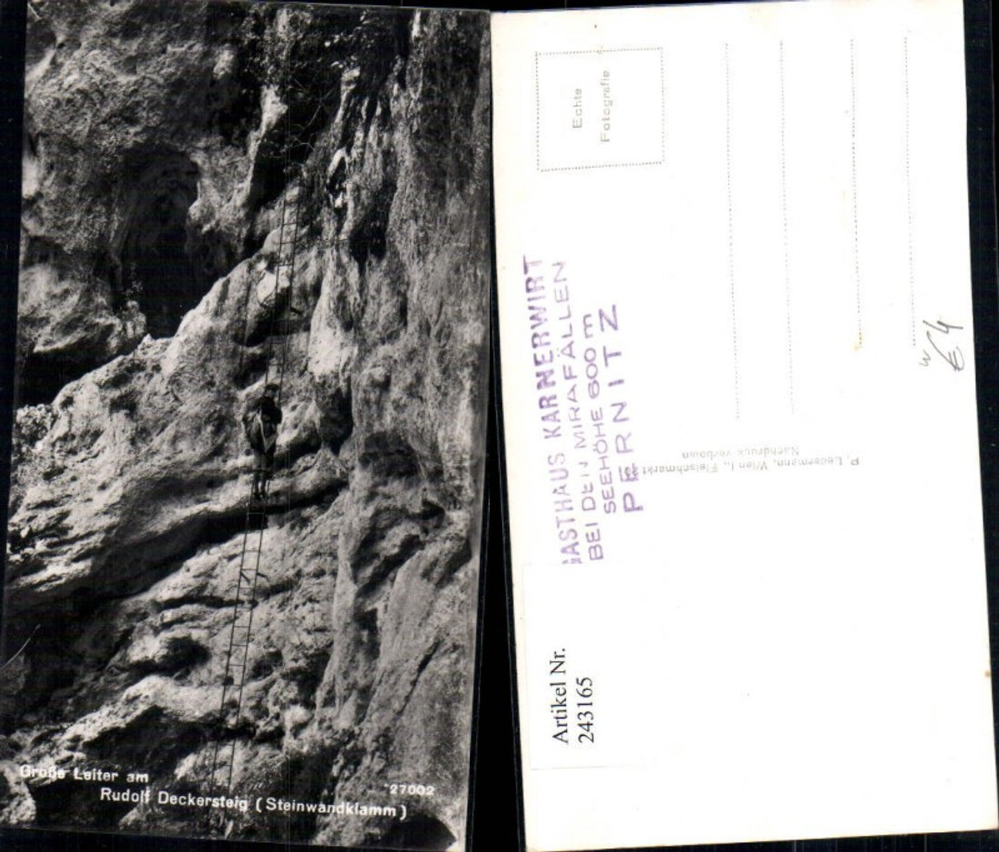 243165,Steinwandklamm Große Leiter a. Rudolf Deckersteig b. Weißenbach an d. Triesting