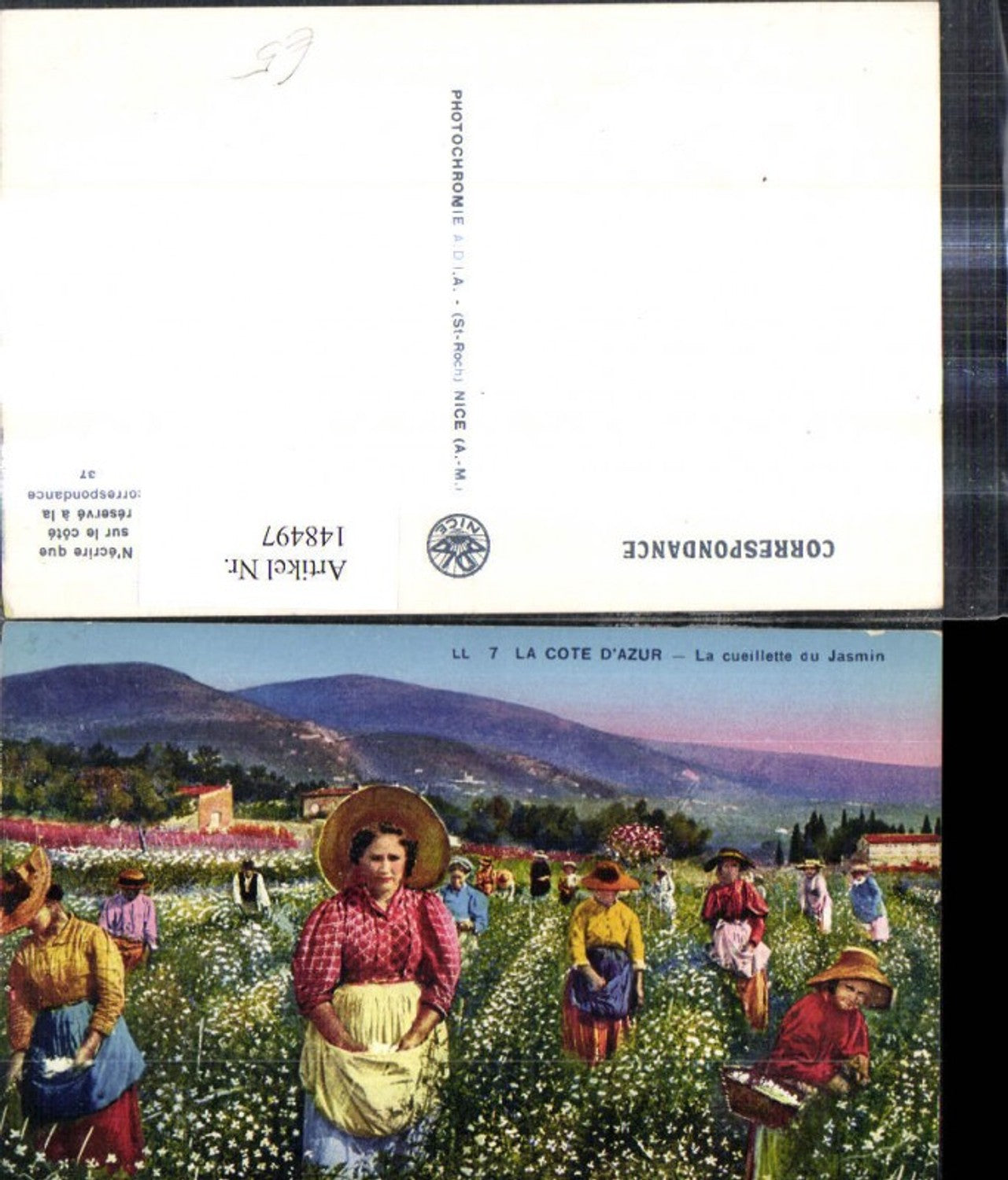148497,La Cote D Azur La cueillette du Jamin Frauen b. Ernte