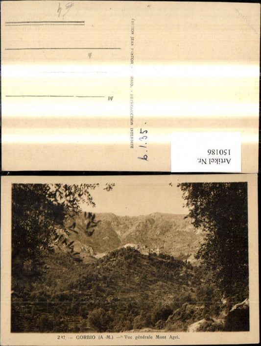 150186,Gorbio Vue generale Mont Agel