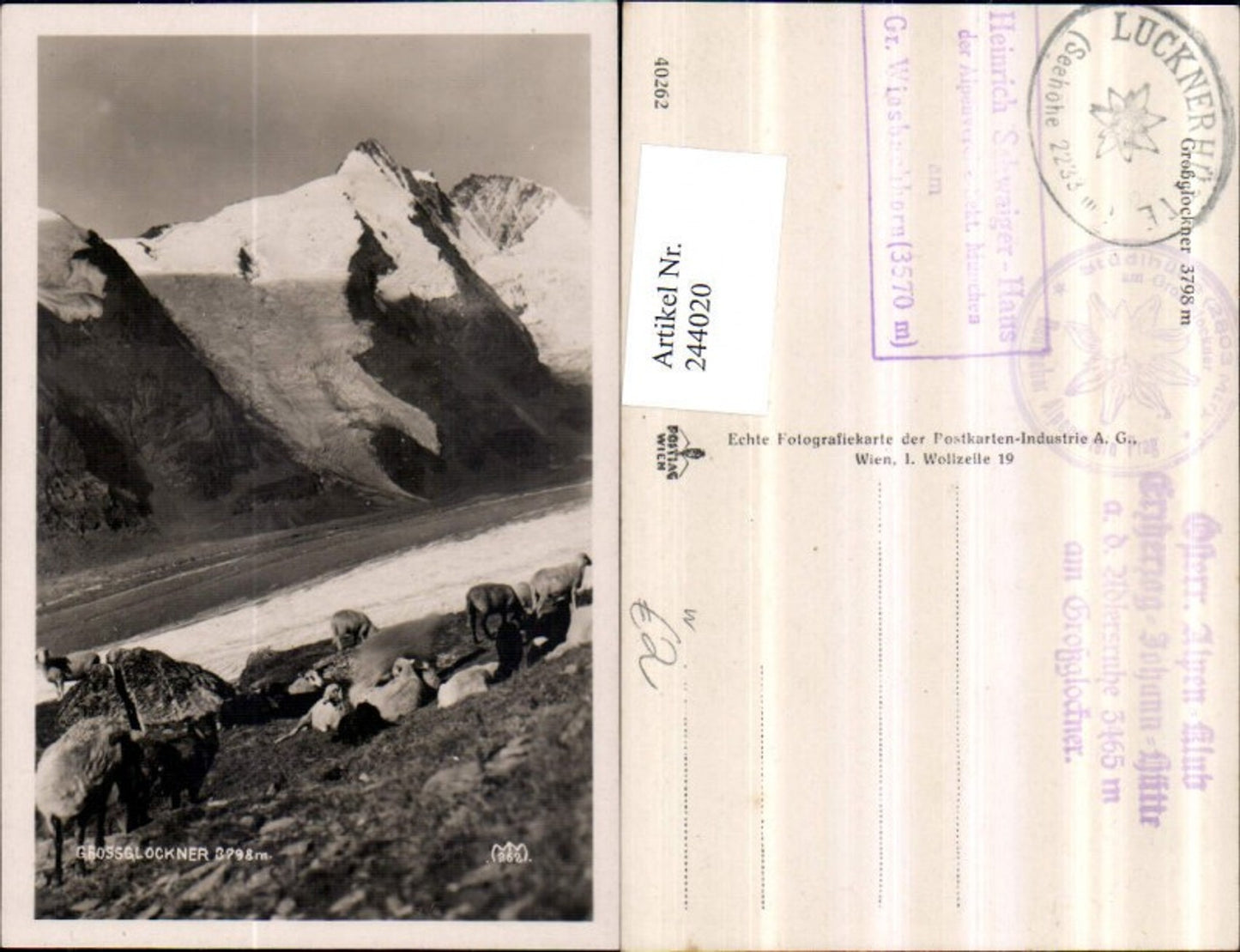 244020,Großglockner Bergkulisse b. Heiligenblut