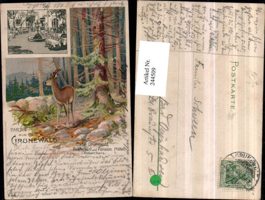 244509,Litho AK Berlin Partie aus d. Grunewald Rehbock Cafe Restaurant u. Pension Hotel Robert Haitz