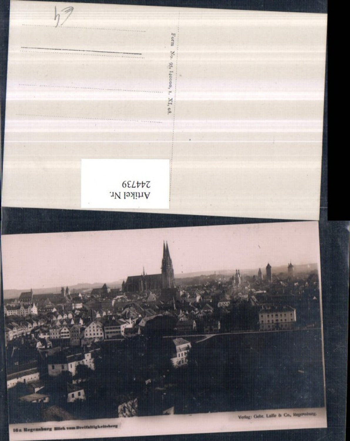 244739,Regensburg Totale Blick v. Dreifaltigkeitsberg