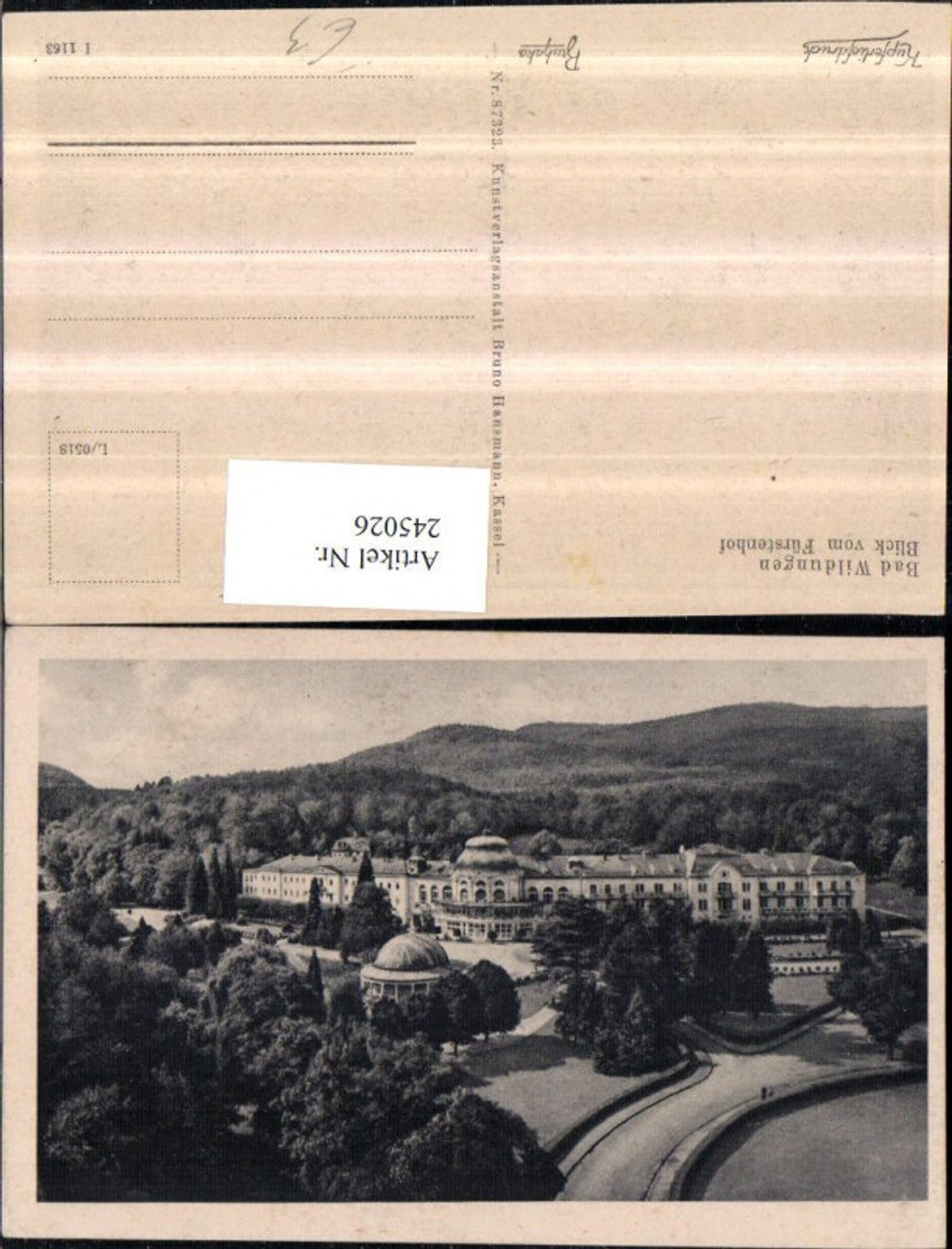 245026,Bad Wildungen Blick v. Fürstenhof