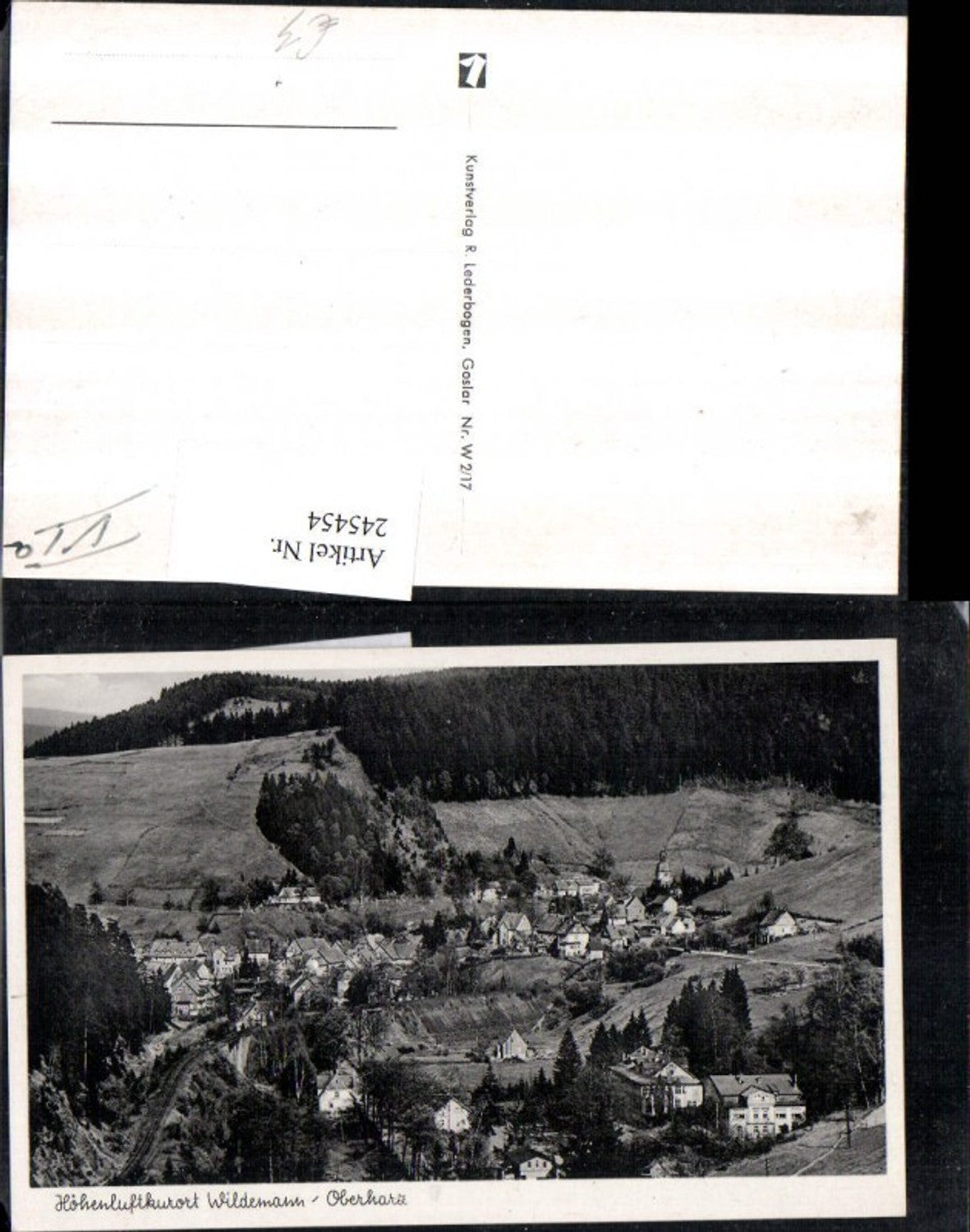 245454,Wildemann im Oberharz Totale