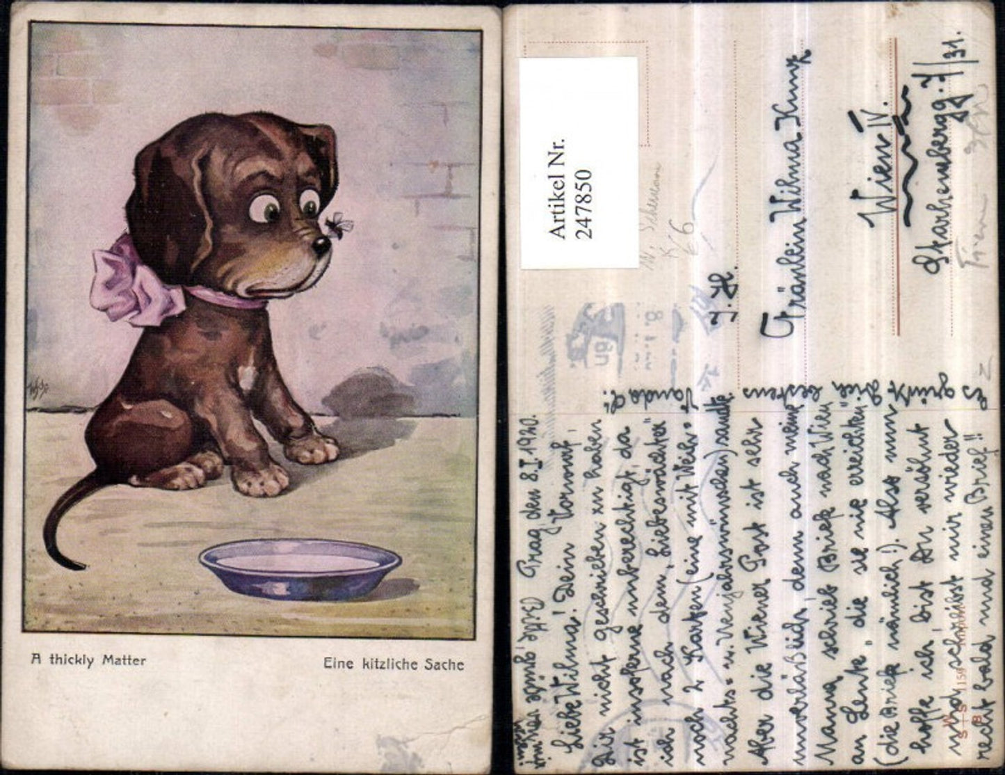 247850,Künstler AK Willi Scheuermann John Wills Eine kitzliche Sache Fliege sitzt auf d. Nase eines Hundewelpen