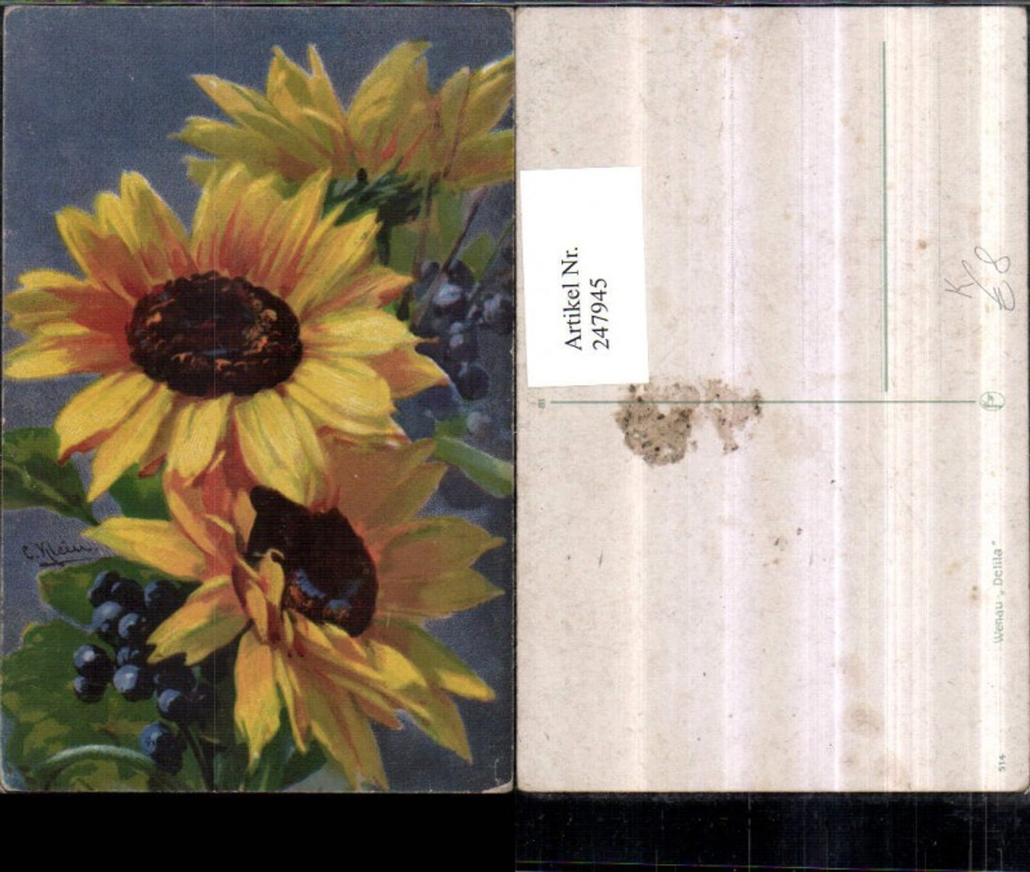 247945,Künstler AK Klein Catharina Sonnenblumen Blumen