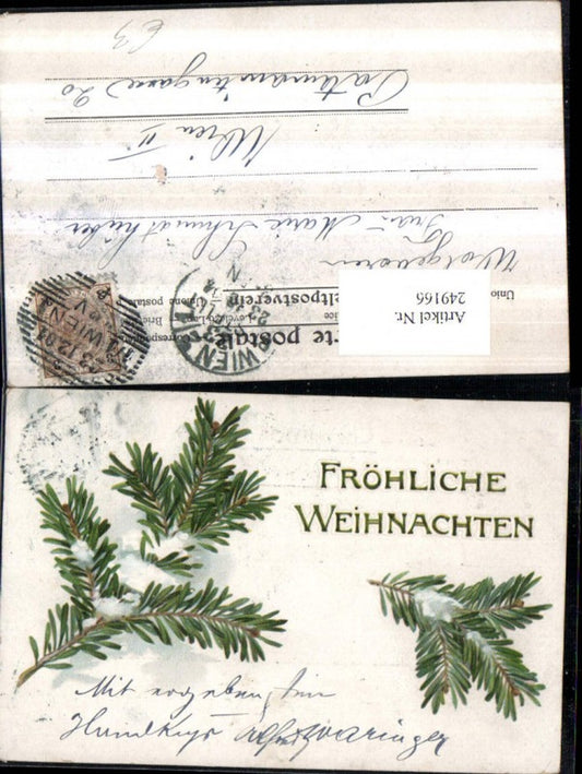 249166, Christmas fir branches