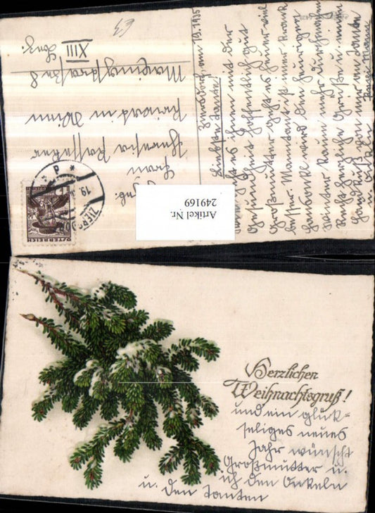 249169, Christmas fir branches pub Erika 6428