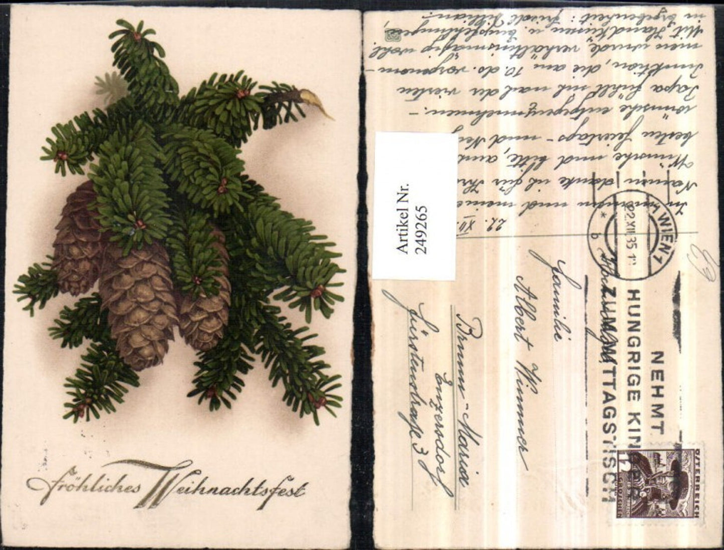 249265, Christmas fir branches cones
