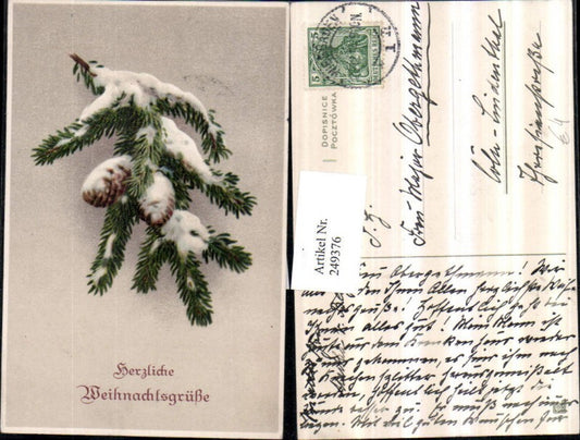 249376, Christmas fir branch with cones