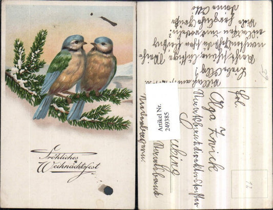 249385, Christmas Birds Blue Tits Fir Branch