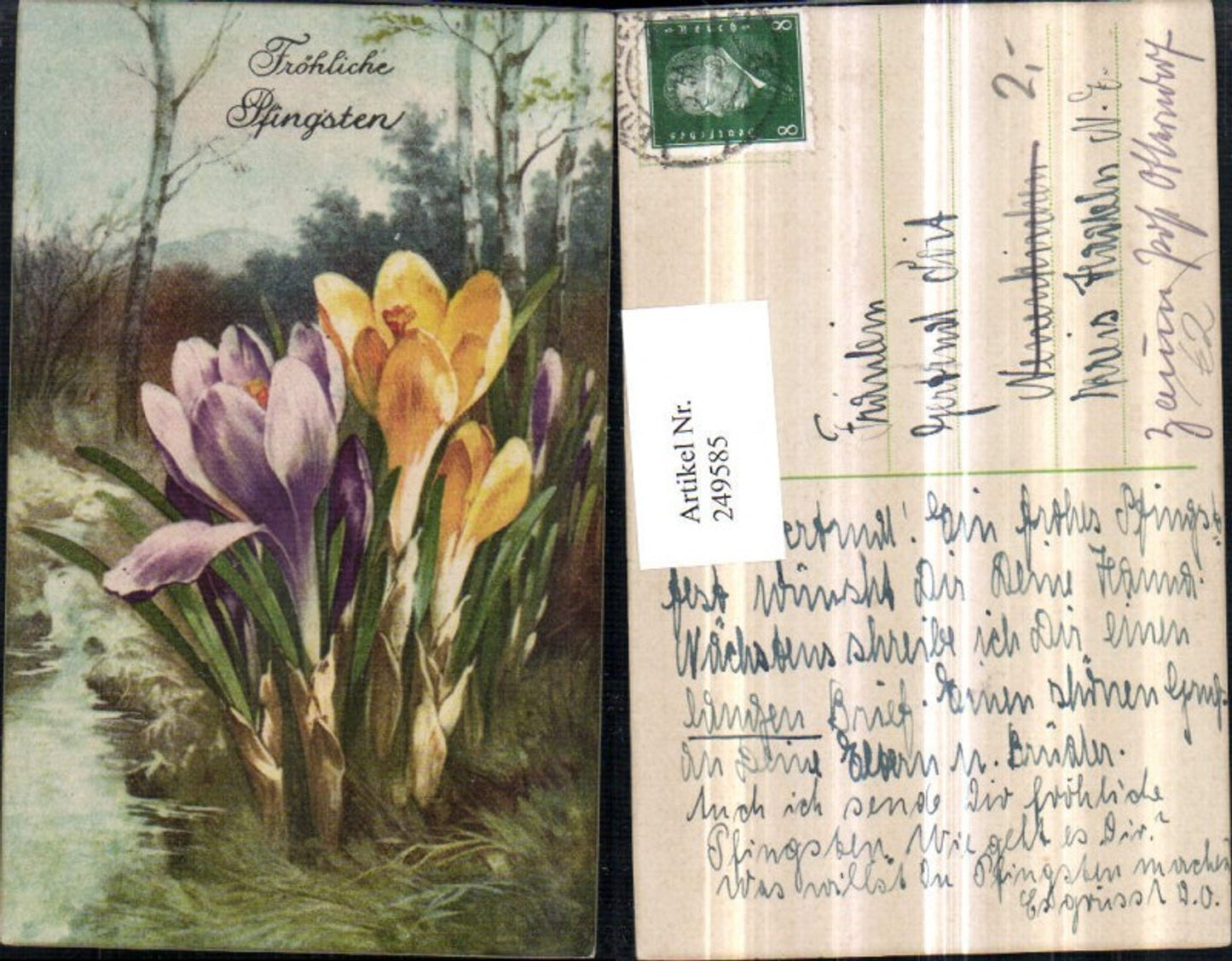 249585,Pfingsten Landschaft Krokusse Detailansicht