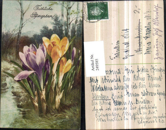 249585,Pfingsten Landschaft Krokusse Detailansicht