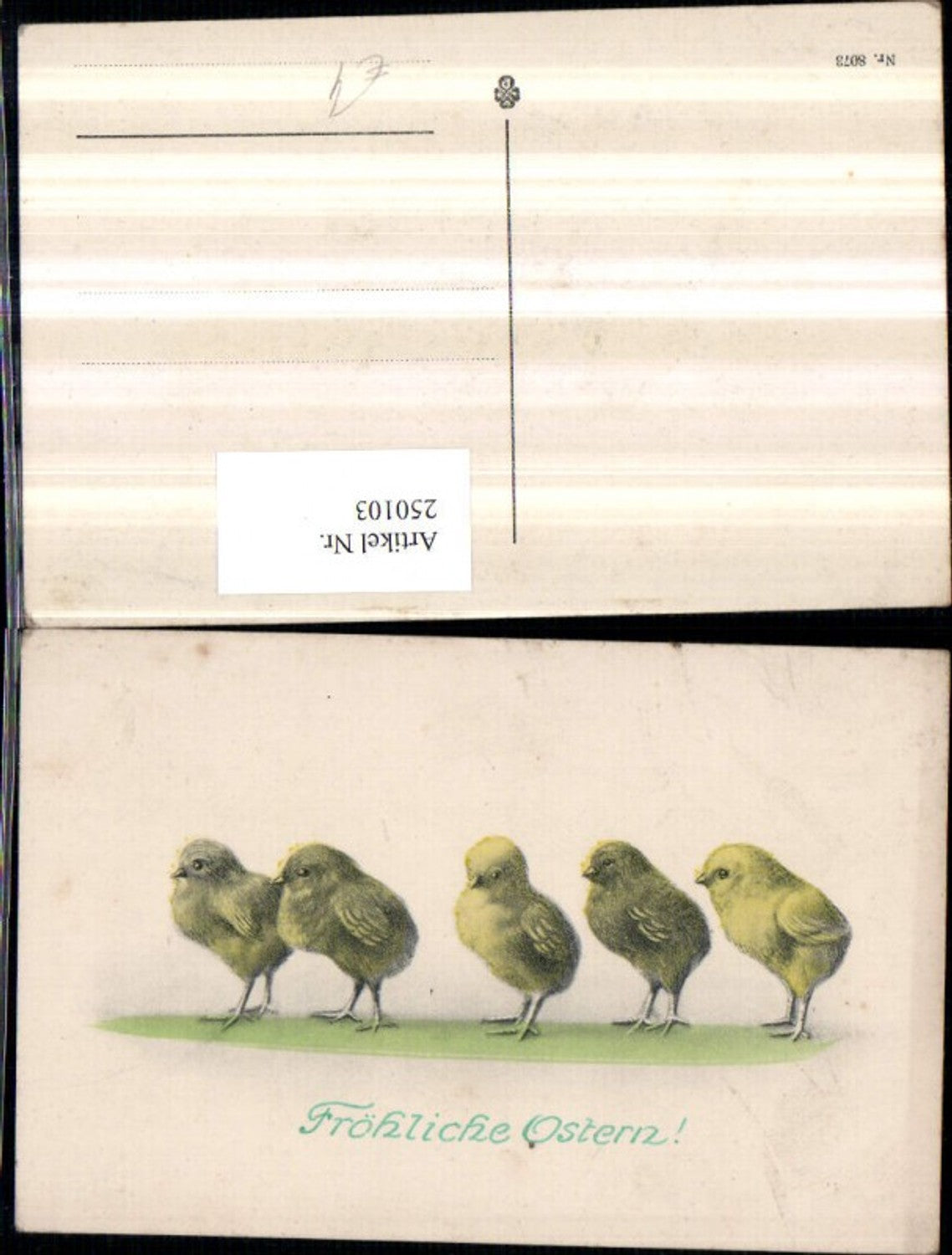 250103,Ostern Küken