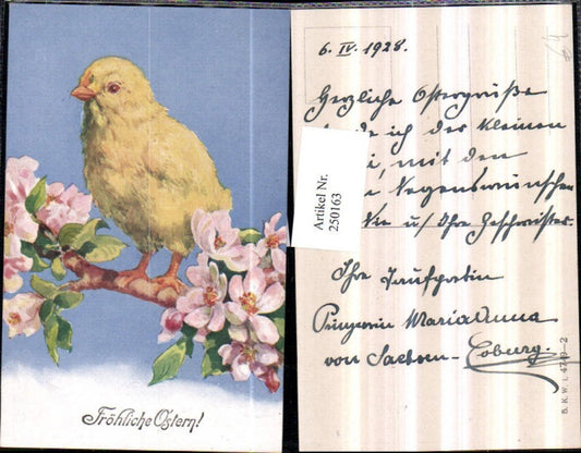 250163,Ostern Küken am Baumzweig Zweig m. Blüten