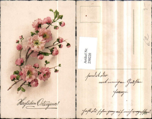 250220, Easter flowering branches blossoms twigs