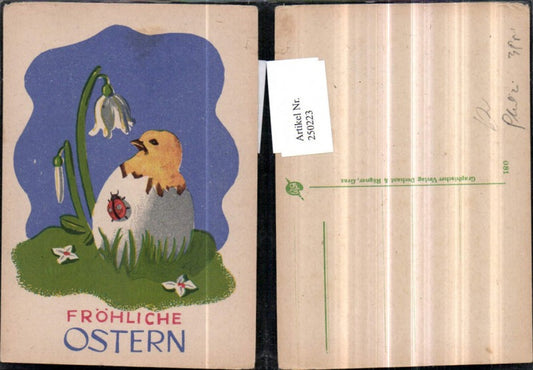 250223, Artist AK Easter Chick Eggshell Egg Ladybug Snowdrop