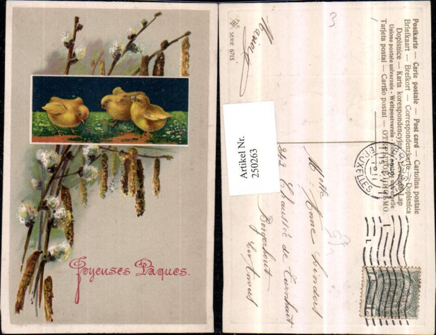 250263,Präge Litho AK Ostern Küken Passepartout Palmkätzchen Birkenkätzchen